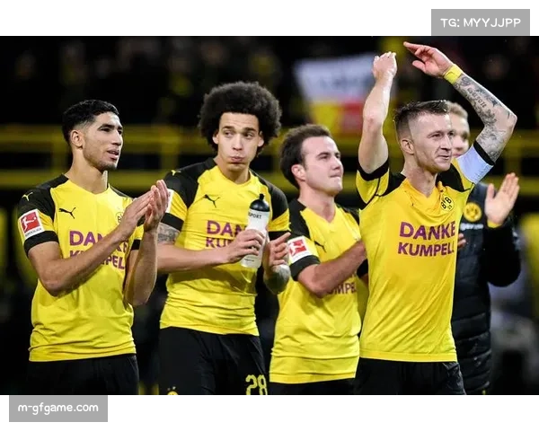 欧冠现场:多特蒙德主场南看台巨型Tifo致敬即将离队的罗伊斯